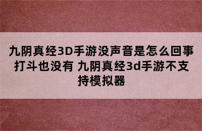 九阴真经3D手游没声音是怎么回事打斗也没有 九阴真经3d手游不支持模拟器